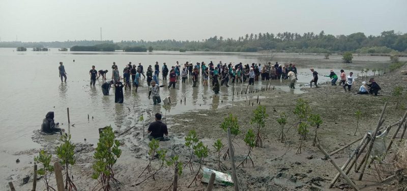 AGNI MANGROVE PT. AGNI JWALA ABADI AGNI MANGROVE PT. AGNI JWALA ABADI
