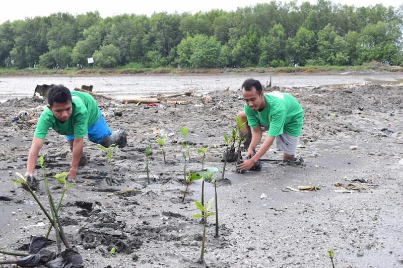 AGNI MANGROVE PT. AGNI JWALA ABADI AGNI MANGROVE PT. AGNI JWALA ABADI