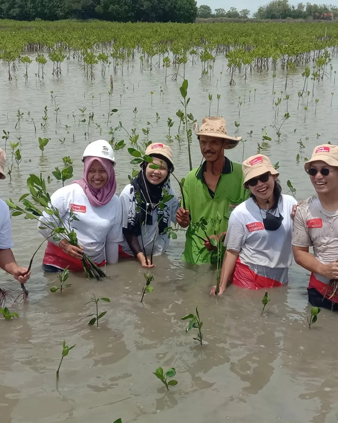 pt-agni-jwala-abadi-mangrove-1