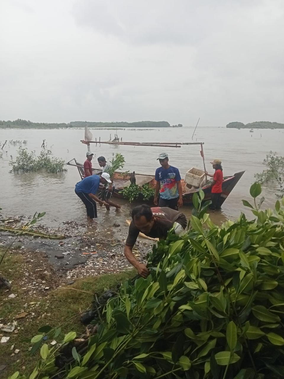 pt-agni-jwala-abadi-mangrove-2