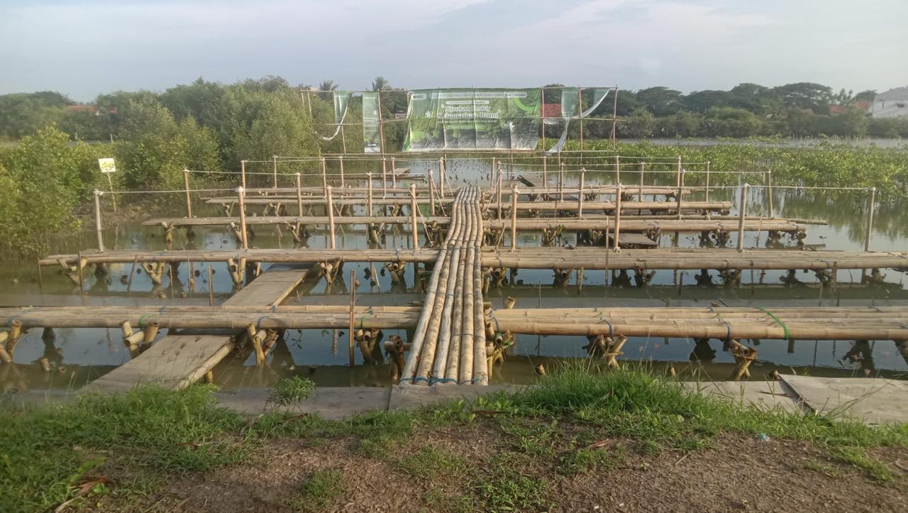pt-agni-jwala-abadi-mangrove-4