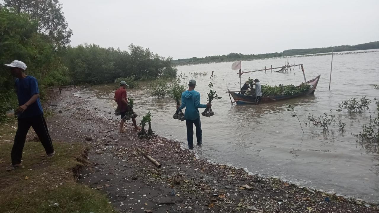 pt-agni-jwala-abadi-mangrove-6