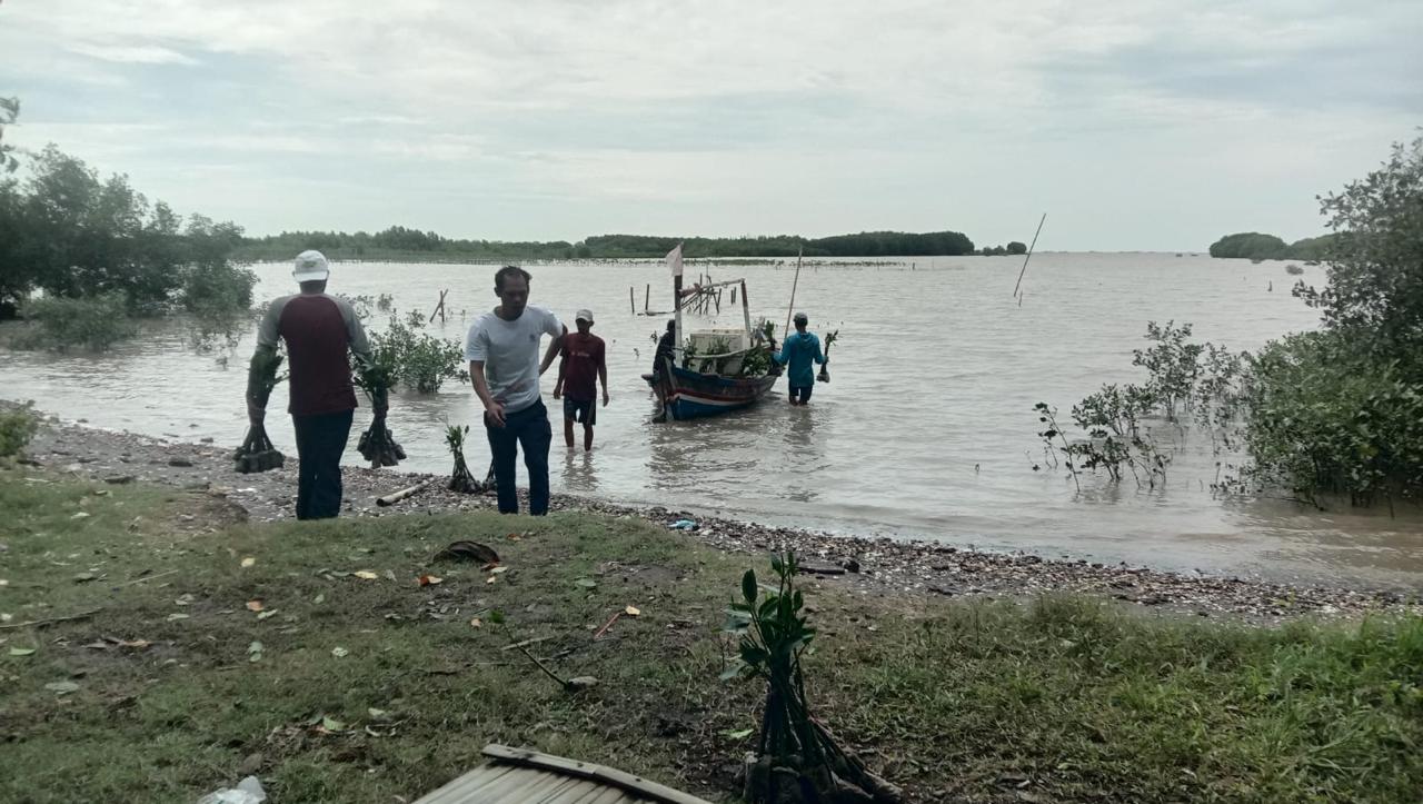 pt-agni-jwala-abadi-mangrove-7